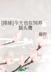 [排球]今天也在饲养猫头鹰
