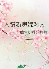 入错新房嫁对人