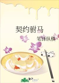 契约驸马