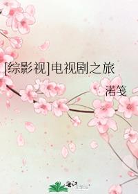 [综影视]电视剧之旅