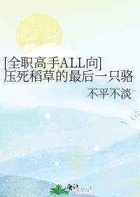 [全职高手ALL向]压死稻草的最后一只骆驼