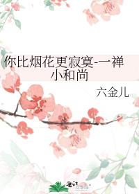 你比烟花更寂寞-一禅小和尚