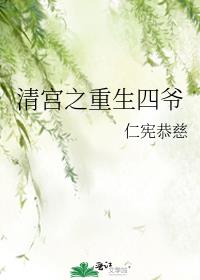 清宫之重生四爷