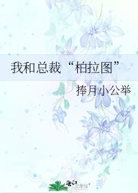 我和总裁“柏拉图”