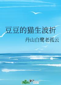 豆豆的猫生波折