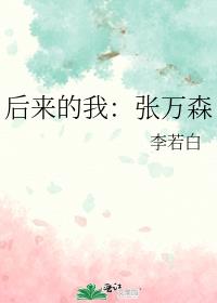后来的我：张万森
