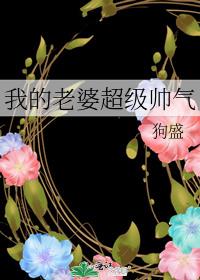 我的老婆超级帅气