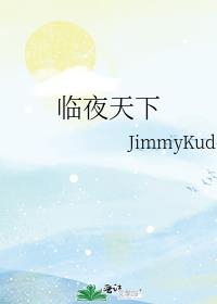 临夜天下