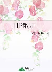 HP敞开