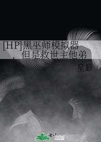 [HP]黑巫师模拟器，但是救世主他弟