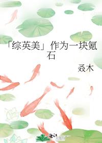 「综英美」作为一块氪石