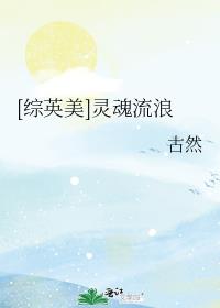 [综英美]灵魂流浪