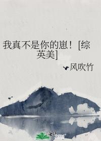 我真不是你的崽！[综英美]