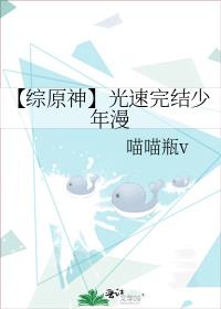 【综原神】光速完结少年漫