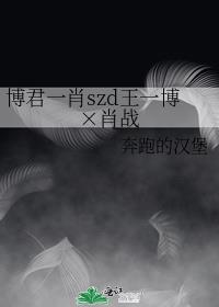 博君一肖szd王一博×肖战