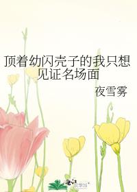 顶着幼闪壳子的我只想见证名场面