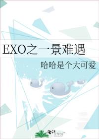 EXO之一景难遇