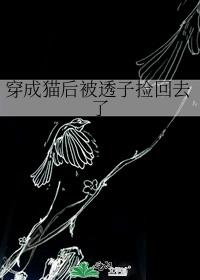 穿成猫后被透子捡回去了