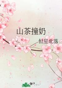 山茶撞奶