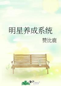 明星养成系统