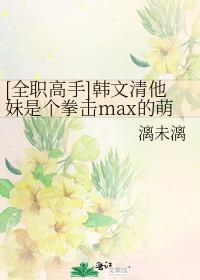 [全职高手]韩文清他妹是个拳击max的萌妹子