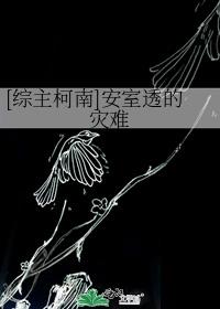[综主柯南]安室透的灾难