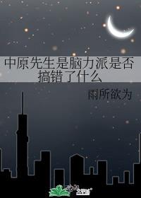 中原先生是脑力派是否搞错了什么