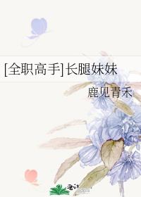 [全职高手]长腿妹妹
