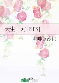 天生一对[BTS]