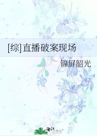 [综]直播破案现场