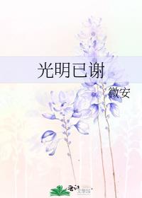 光明已谢