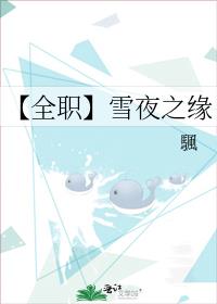 【全职】雪夜之缘
