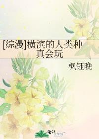 [综漫]横滨的人类种真会玩