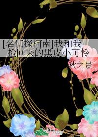[名侦探柯南]我和我捡回来的黑皮小可怜
