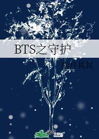 BTS之守护