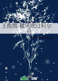 王俊凯-微风吹过科尔马