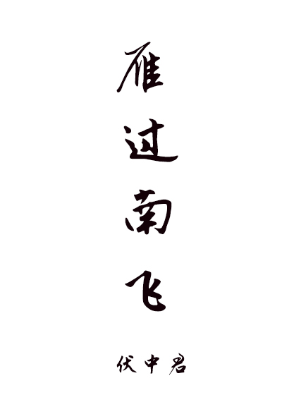 雁过南飞