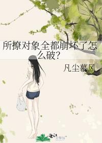 所撩对象全都崩坏了怎么破？