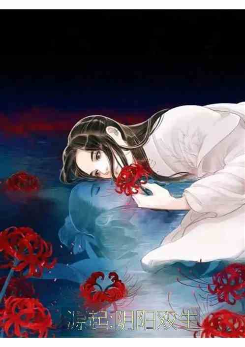 源起:阴阳双生