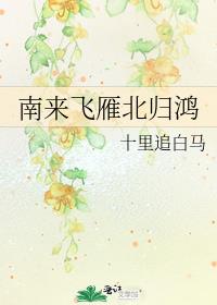 南来飞雁北归鸿