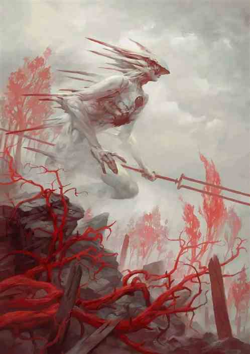 圣利斯安德学院