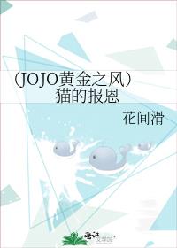 （JOJO黄金之风）猫的报恩