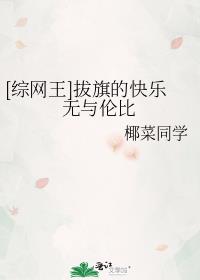 [综网王]拔旗的快乐无与伦比