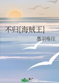 不归[海贼王]