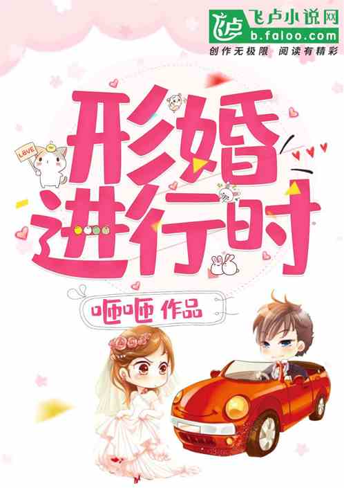 形婚进行时