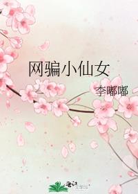 网骗小仙女