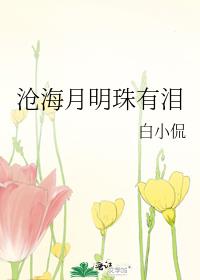 沧海月明珠有泪