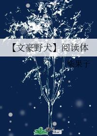 【文豪野犬】阅读体