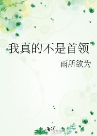我真的不是首领