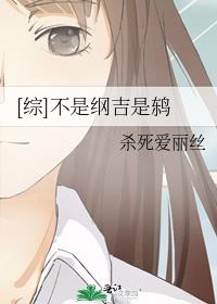 [综]不是纲吉是鸫
